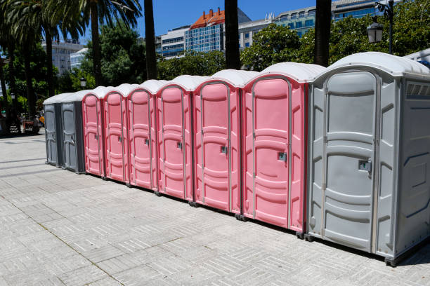 Best Portable Toilets with Baby Changing Stations  in Lockney, TX